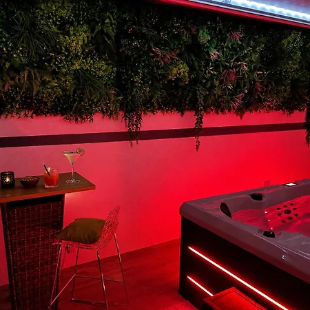 Cosy Avec Espace Bien Etre *